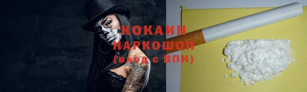 шишки Медвежьегорск